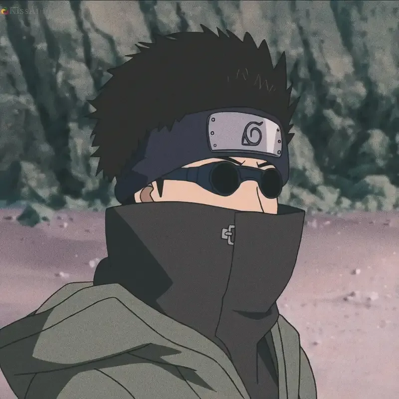  ảnh Shino Aburame  2