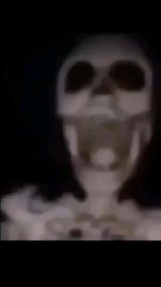 skeleton meme 12