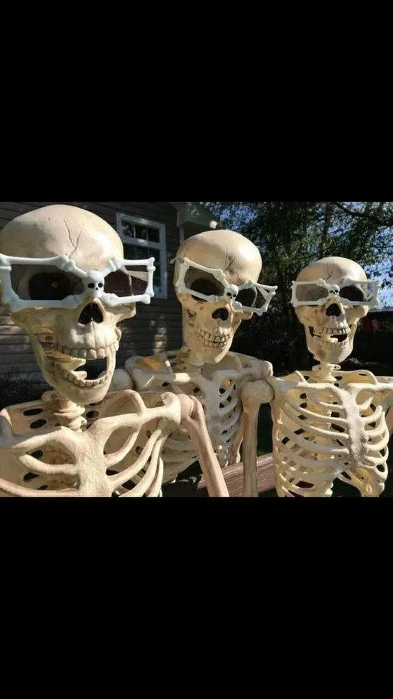 skeleton meme 16