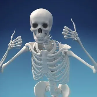 skeleton meme 17