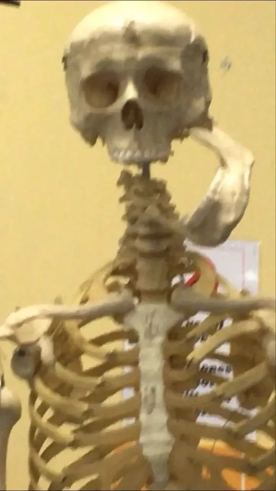 skeleton meme 33