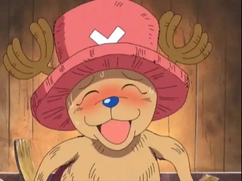 ảnh Tony Tony Chopper  28