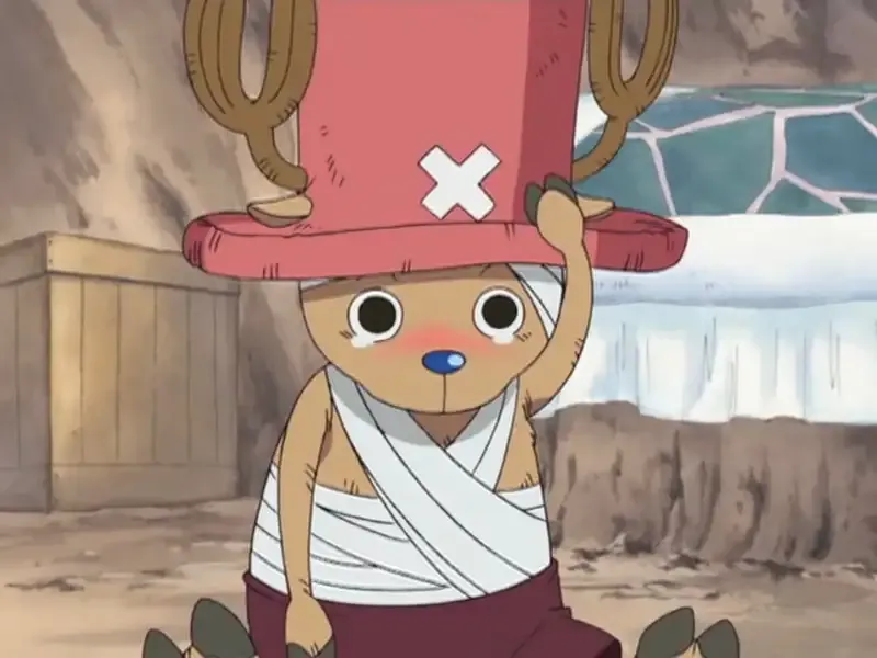 ảnh Tony Tony Chopper  16