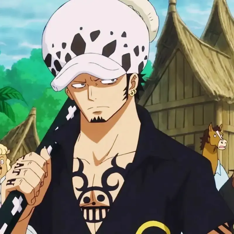 ảnh Trafalgar D. Water Law  18