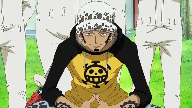 ảnh Trafalgar D. Water Law  20