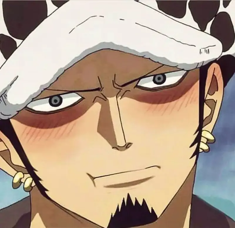 ảnh Trafalgar D. Water Law  10