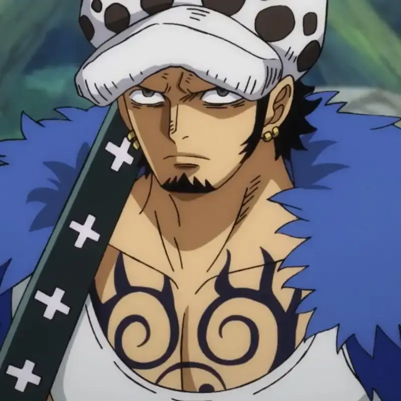 ảnh Trafalgar D. Water Law  29