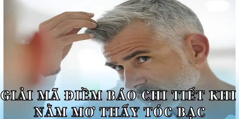 [Luận Giải] Nằm Mơ Thấy Tóc Bạc Báo Hiệu Con Số Đổi Vận 1