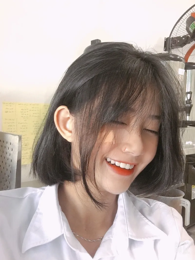 Bộ sưu tập avatar thú cưng cute cho các tín đồ yêu động vật