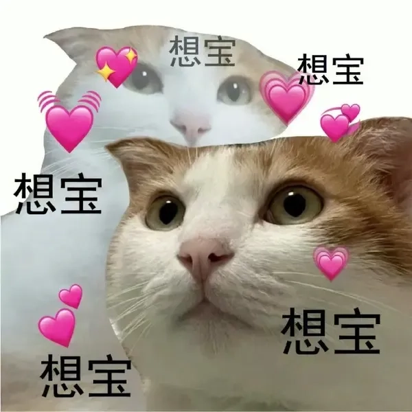 Khám phá avatar meme hài cute cực dễ thương và vui nhộn