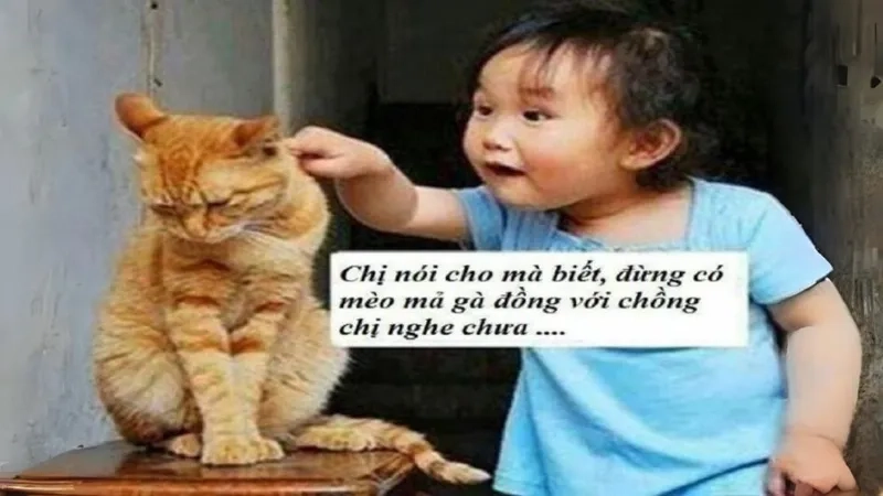 Meme cute hình icon dễ thương và siêu đáng yêu