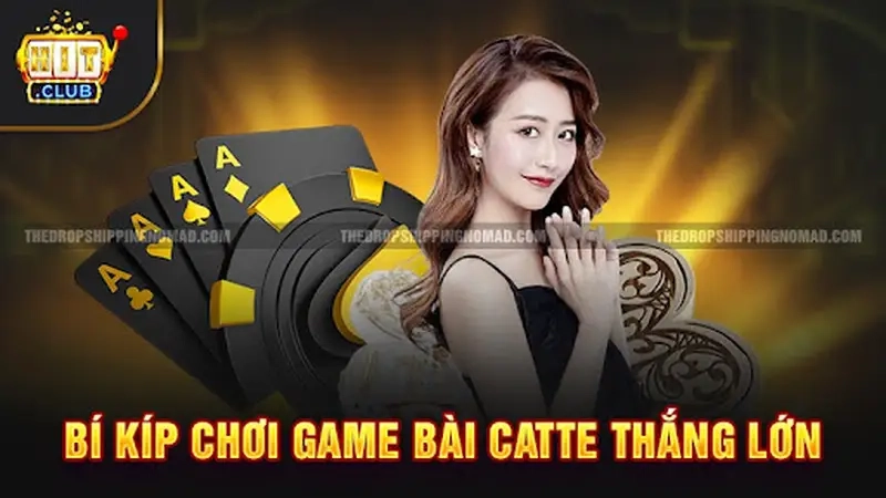 Bí kíp chơi game bài Catte thắng lớn