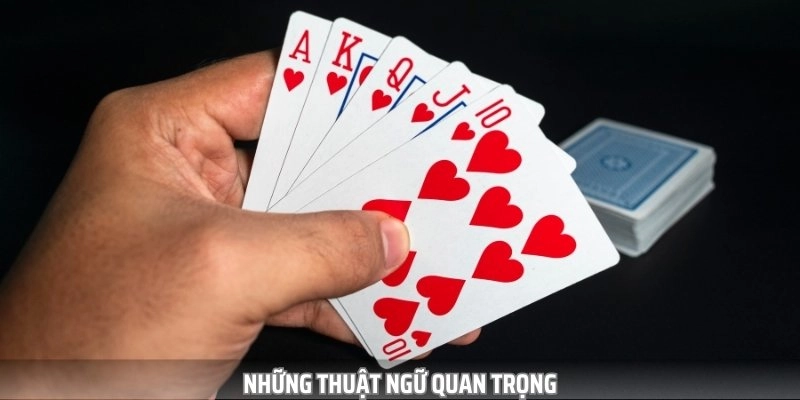 Một số định nghĩa thường gặp khi chơi game bài Cào
