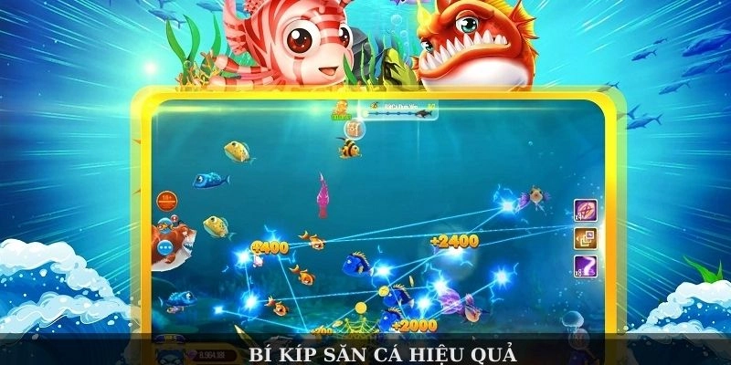 Bí kíp săn cá hiệu quả