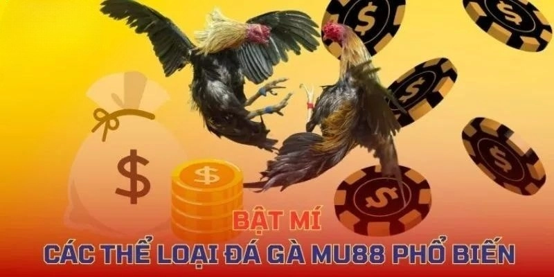 Những thể loại đá gà Bet88 được yêu thích nhất