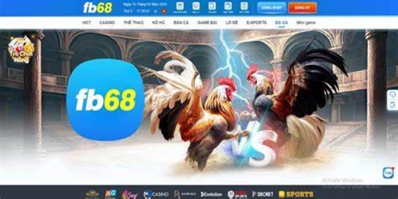 Giới thiệu sơ lược về đá gà WS168 Fb68