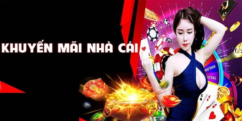 Giới thiệu về nhà cái 79King