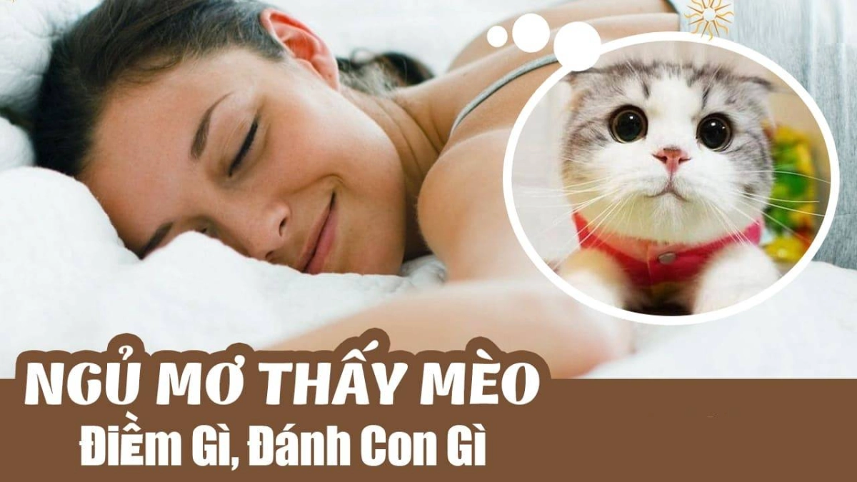 Giấc Mơ Thấy Mèo: Bí Ẩn Đằng Sau Hình Ảnh Thân Quen