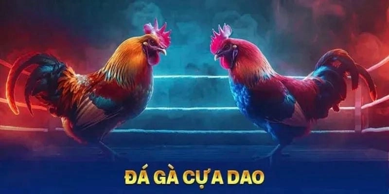 Soi Tỷ Lệ Kèo Đá Gà Cựa Dao Hôm Nay Tại 69VN