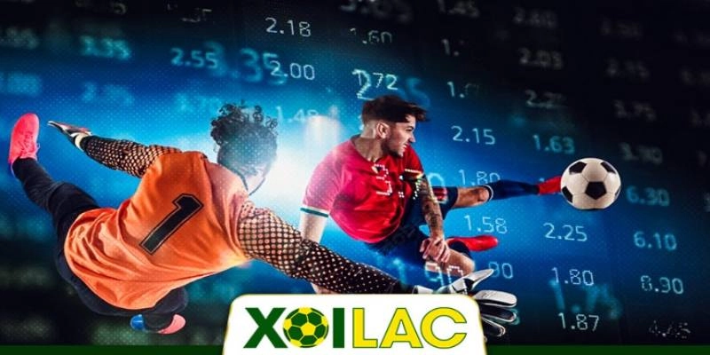 Đường link xem FULL HD 