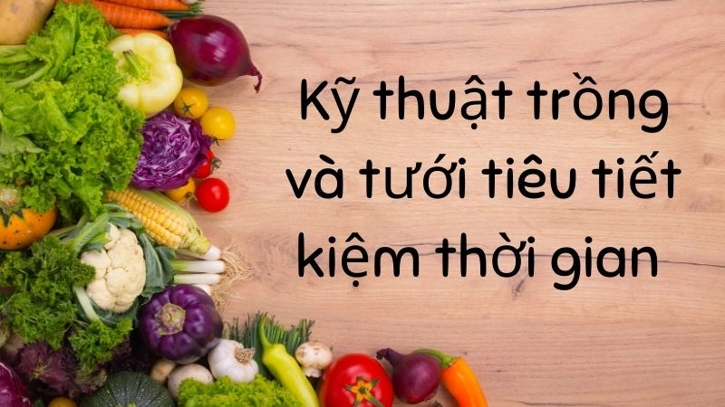 Kỹ thuật trồng và tưới tiêu tiết kiệm thời gian 