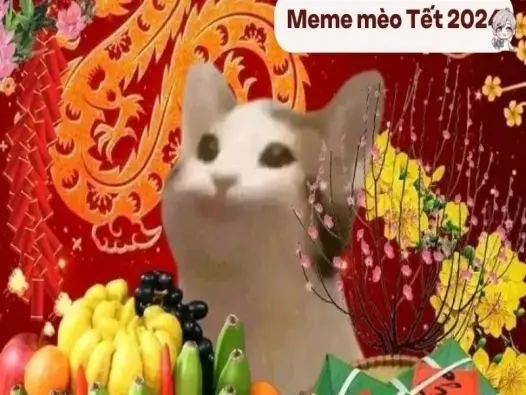 Tổng hợp ảnh avatar Tết meme hài hước để bạn thay đổi dịp năm mới