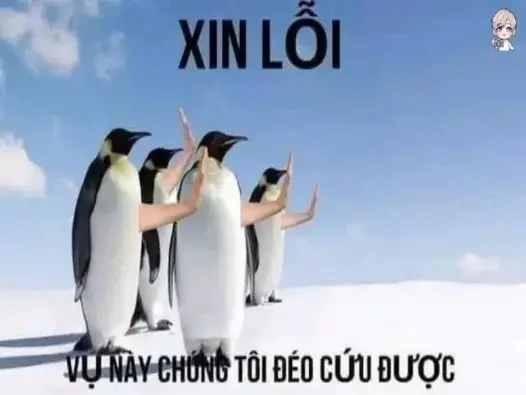 Sưu tầm ngay bộ ảnh meme còn cứu được hài hước khiến bạn bật cười