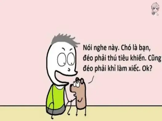 Lưu ngay về máy bộ sưu tập hình ảnh meme từ chối hài hước và thú vị nhất