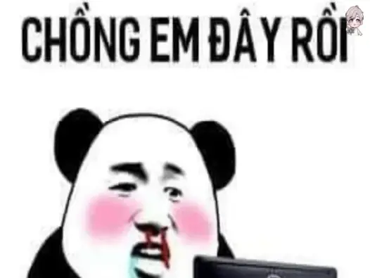 Tổng hợp 88+ ảnh panda meme hài hước khiến bạn không thể nhịn cười