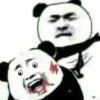 140+ Ảnh Meme Gấu Hài Hước Nhất 2026 Tạo Niềm Vui
