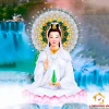 188+ Ảnh Phật Quan Âm Thanh Tịnh Đầy Ý Nghĩa Cho Năm 2026