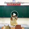 389+ Meme Bất Ngờ Khiến Bạn Cười Không Ngừng Nghệ