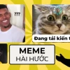 750+ Avatar Meme Mèo Bựa: Biểu Cảm Hài Hước Độc Lạ Cho Mạng Xã Hội