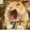 Bộ Sưu Tập Meme Cầm Thánh Giá: Phản Ứng Hài Hước Và Độc Đáo