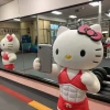 Chiêm ngưỡng 100+ Avatar Mèo Vô Tri: Biểu cảm hài hước cho năm 2026