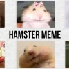 Khám phá 370+ Meme Hamster: Biểu cảm lầy lội gây bão mạng xã hội 2026