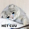 Khám phá 40+ Meme Bác Sĩ Hài Hước Nhất Năm 2026