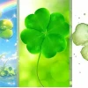 Khám phá BST Avatar Cỏ 4 Lá May Mắn Đẹp Nhất 2026