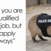 Khám phá Thế giới Meme Capybara Hài hước và Đáng yêu