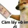 Khám phá thế giới meme mèo xỉu: Cười thả ga với loạt ảnh hài hước