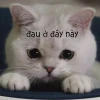 Loạt 40+ Meme Đau Ở Đây Này: Khi Cảm Xúc Khó Nói Thành Lời