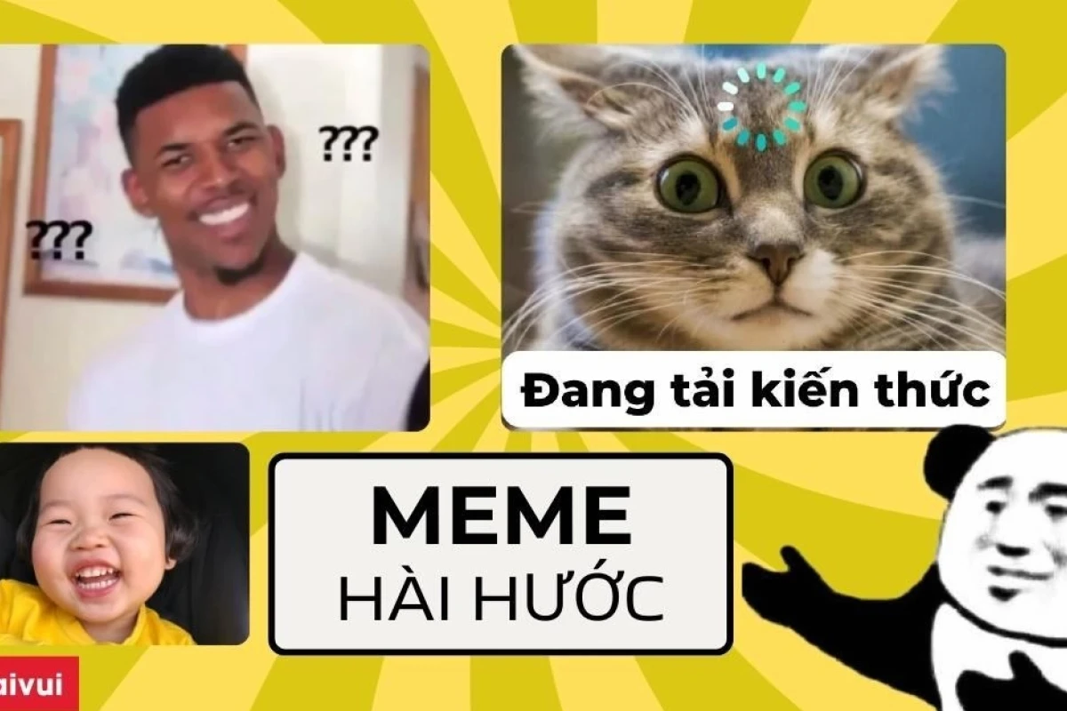 750+ Avatar Meme Mèo Bựa: Biểu Cảm Hài Hước Độc Lạ Cho Mạng Xã Hội