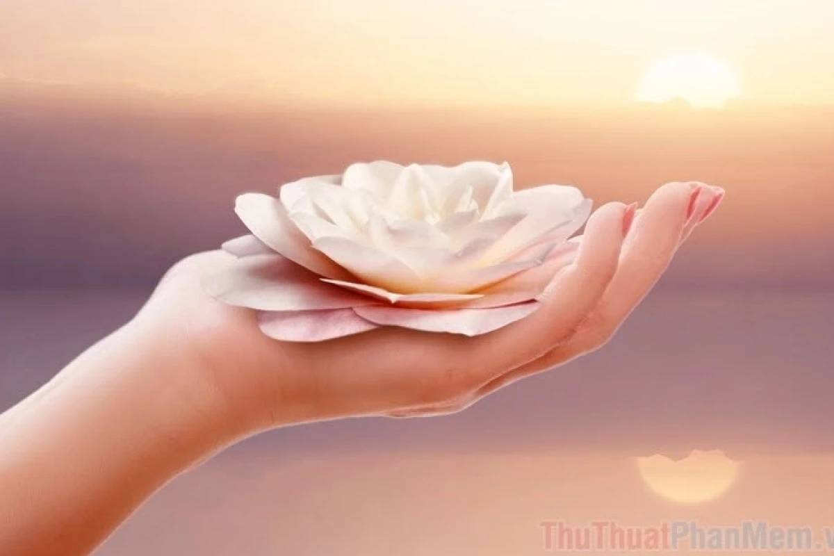 Khám phá vẻ đẹp tĩnh tâm qua những hình nền ý nghĩa