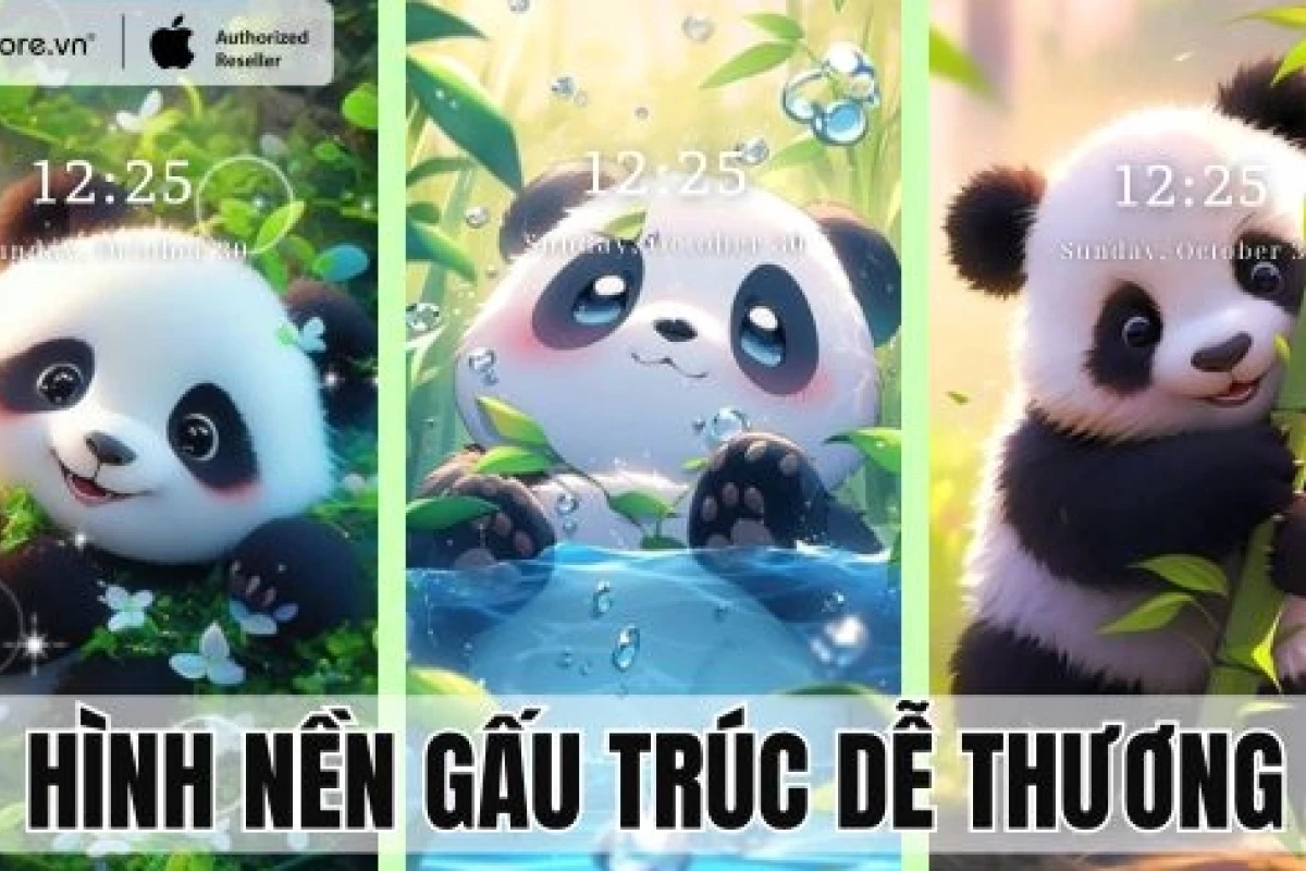 Tuyển Tập Hình Nền Điện Thoại Gấu Trúc Cực Dễ Thương Cho Năm 2026