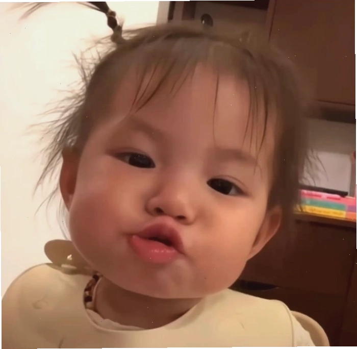 500+ ảnh meme Pam mặt vuông hài hước, đáng yêu nhất mạng xã hội
