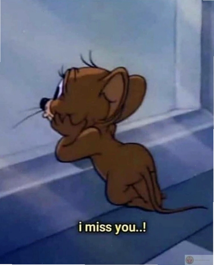 Ảnh chế Tom & Jerry với nét mặt thể hiện sự lo lắng khi deadline tới gần.