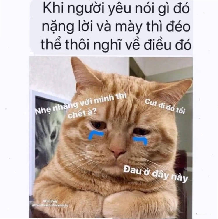 Ảnh đau ở đây này buồn
