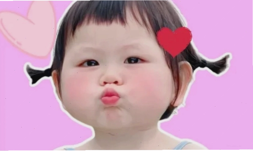 Ảnh meme cute, dễ thương làm hình nền điện thoại