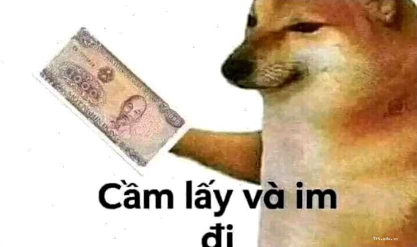 Ảnh nền điện thoại hài hước bá đạo với nội dung độc đáo