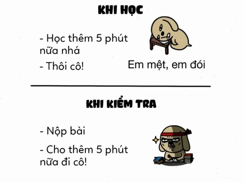 Avatar hài hước meme người que thể hiện sự đối lập